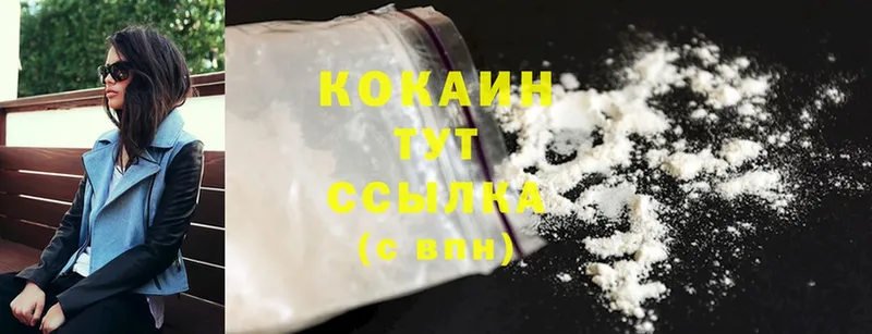 Cocaine FishScale  мега   Шахты 